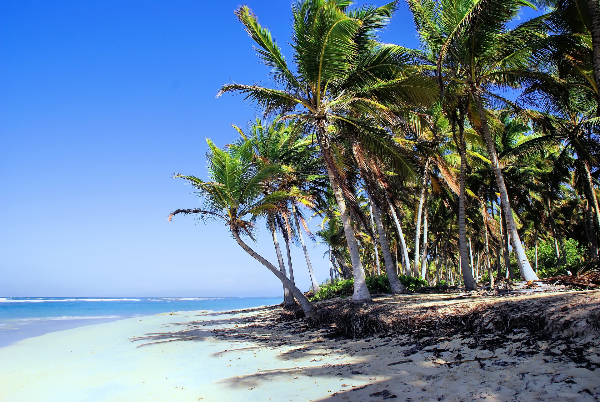Dominikanische RepublikPunta Cana Strand